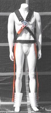 UK ZT HARNESS NOT ASSERTING THIS IS GOOD OR BAD, JUST THAT