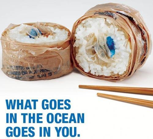Be Contaminated By Plastic May 8, 2015 photo credit: Surfrider We are what we eat, and it's possible that we are becoming more toxic thanks to