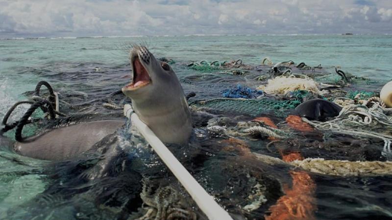 animals (mistake them for food). 10) 10% of the plastic we use yearly end up in the ocean.