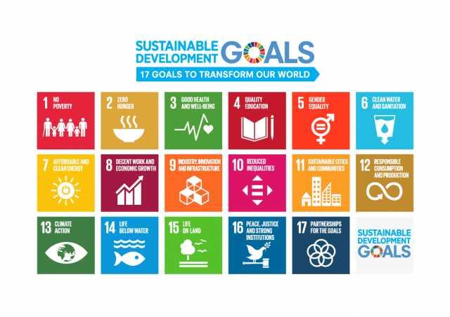 Japan s efforts for promoting the SDGs