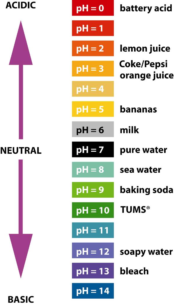 Student Reference: PH SCALE AND EXAMPLES Adapted from the Acid