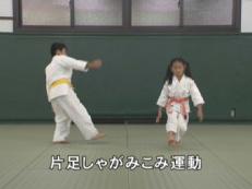 Basic Judo Training 6.