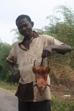 Unfortunately, if the primary taste preference for bushmeat