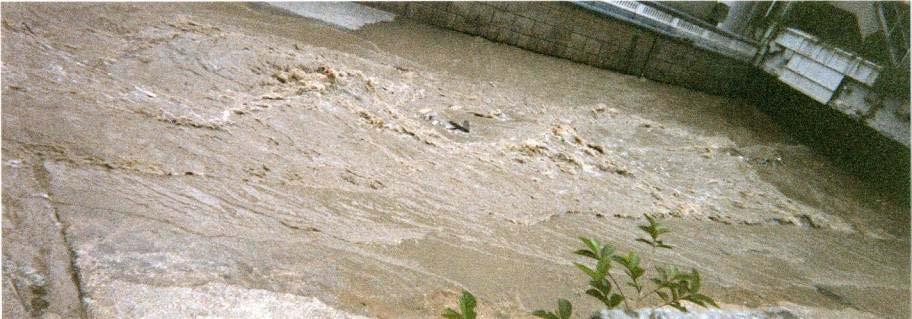 波状跳水 Undular jump 動く跳水 段波たとえばポロロッカ ( アマゾン大逆流 ) A hydraulic jump moving downstream or upstream is called bore.