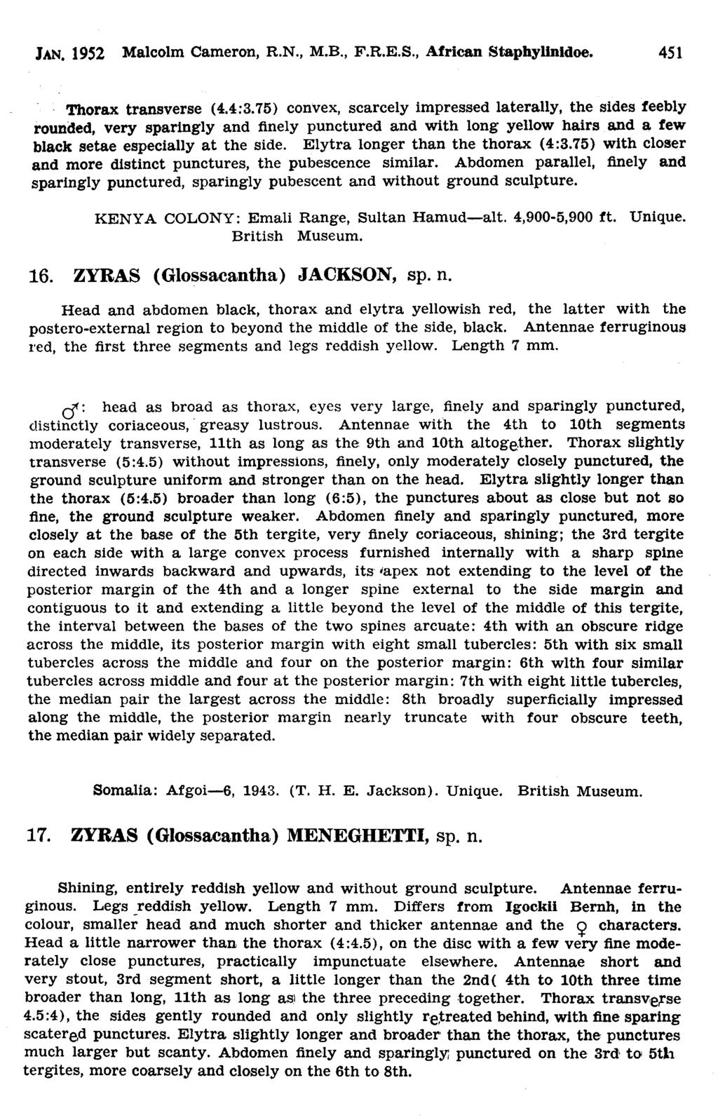 JAN. 1952 Malcolm Cameron, R.N., M.B., F.R.E.S., African Staphyllnldoe. 451 Thorax transverse (4.4:3.