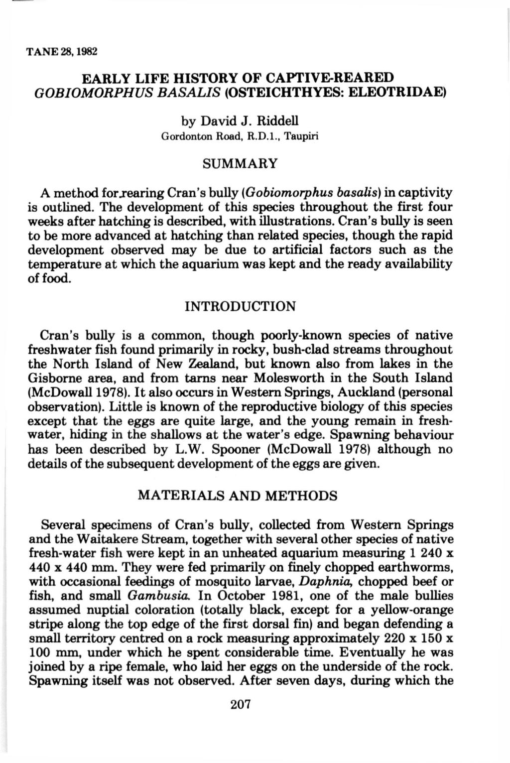 TANE 28,1982 EARLY LIFE HISTORY OF CAPTIVE-REARED GOBIOMORPHUS BASALIS (OSTEICHTHYES: ELEOTRIDAE) by David J. Riddell Gordonton Road, R.D.I., Taupiri SUMMARY A method for rrearing Cran's bully (Gobiomorphus basalis) in captivity is outlined.