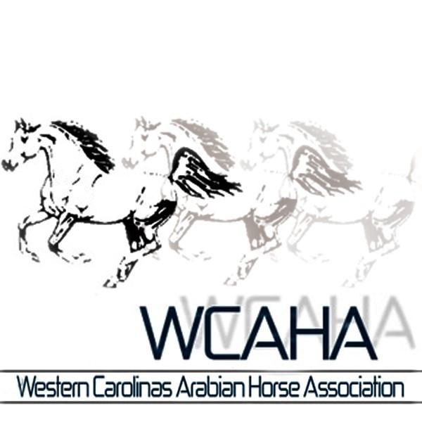 Qualifier Arabian & Half Arabian Horse Show April