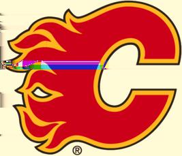 Calgary Flames Record:
