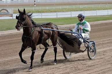 out for a spin at Century Downs Race Right,
