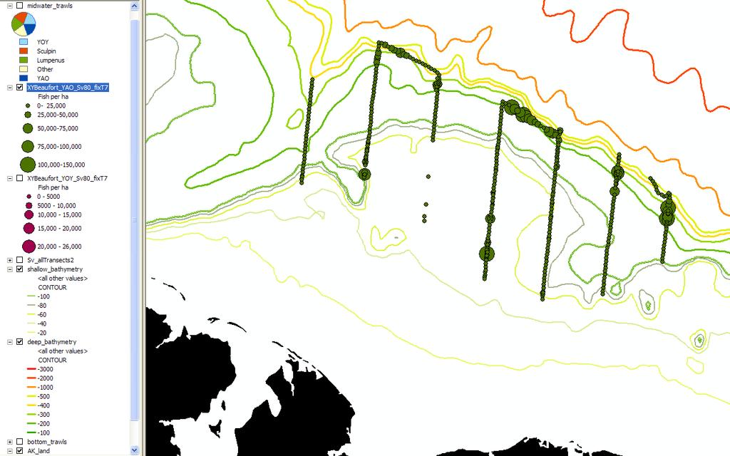 Age-1+ Arctic cod density distribution