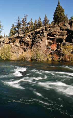 MIDDLE DESCHUTES Restoration & Monitoring Activities s ince 1999, the DRC and basin stakeholders have worked together in a collaborative effort to restore stream flow and improve water quality.