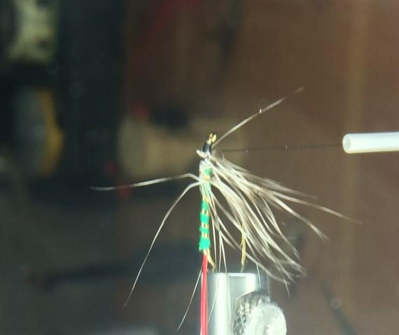 ..12 seems most productive for trout Thread: Black monocord Tail: Red goose quill Rib: Fine gold tinsel Body: Green floss or silk Throat: Grizzly hen hackle Wing: Mallard flank Wrap