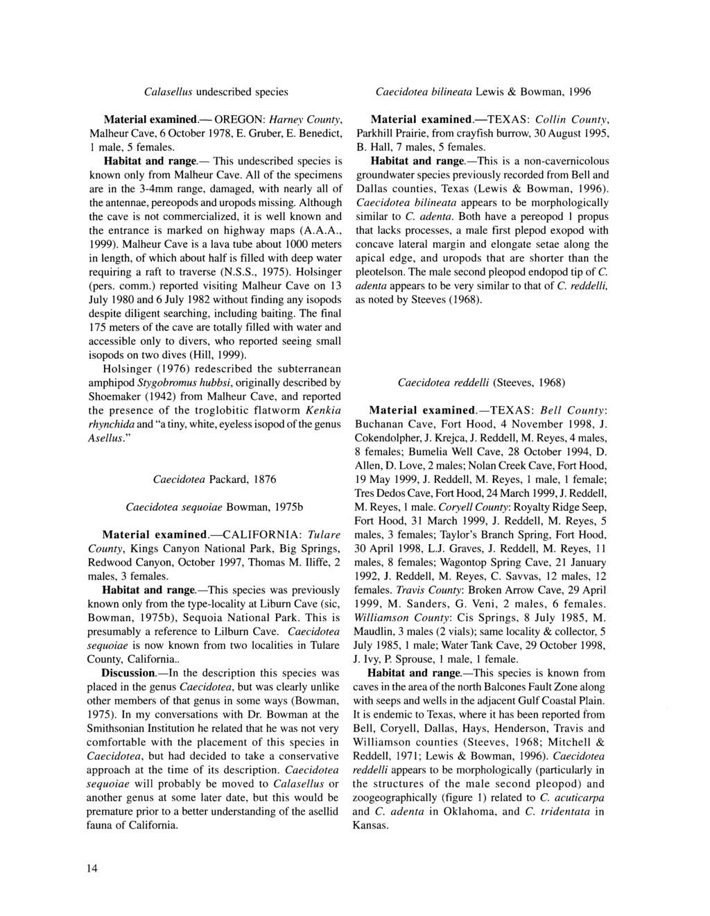 CalaseUus undescribed species Caecidotea bilineata Lewis & Bowman, 1996 Material examined. OREGON: Harney County, Malheur Cave, 6 October 1978, E. Gruber, E. Benedict, 1 male, 5 females.