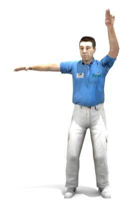 The referee raises a hand once or twice with the palm turned upwards. Fig.