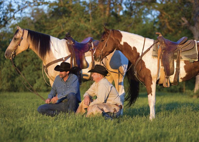 Our mission Our mission at the American Paint Horse Association (APHA) is to collect, record and preserve the pedigrees of American Paint Horses, and to stimulate and regulate all matters pertaining