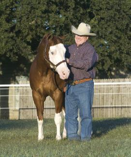 Another record-breaking year for Paints in 2007 4 The American Paint Horse Association (APHA) saw some of its brightest stars shine brilliantly during 2007, and the past year also saw the creation of