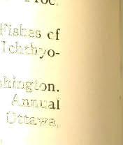 Urbana. Goode, B., 1884. Fisheries of the United States. \ivashington. Prince, E.