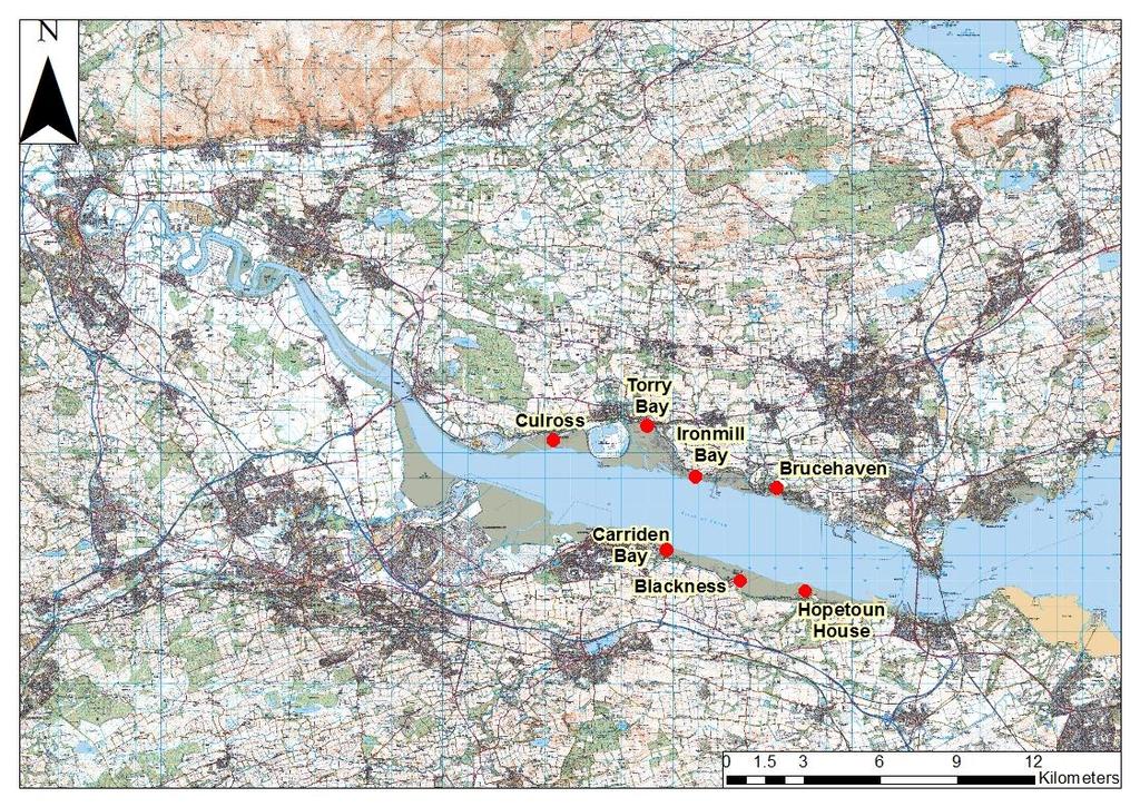 Figure 29: Potential seagrass site locations identified in the Forth Estuary by R. Zoutenbier in 2011.