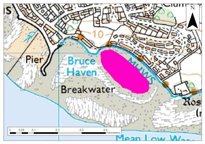 For the remaining sites in the Forth Estuary no detailed information was reported, only two figures of maps showing a rough outline of the area walked to determine Zostera spp. distribution.