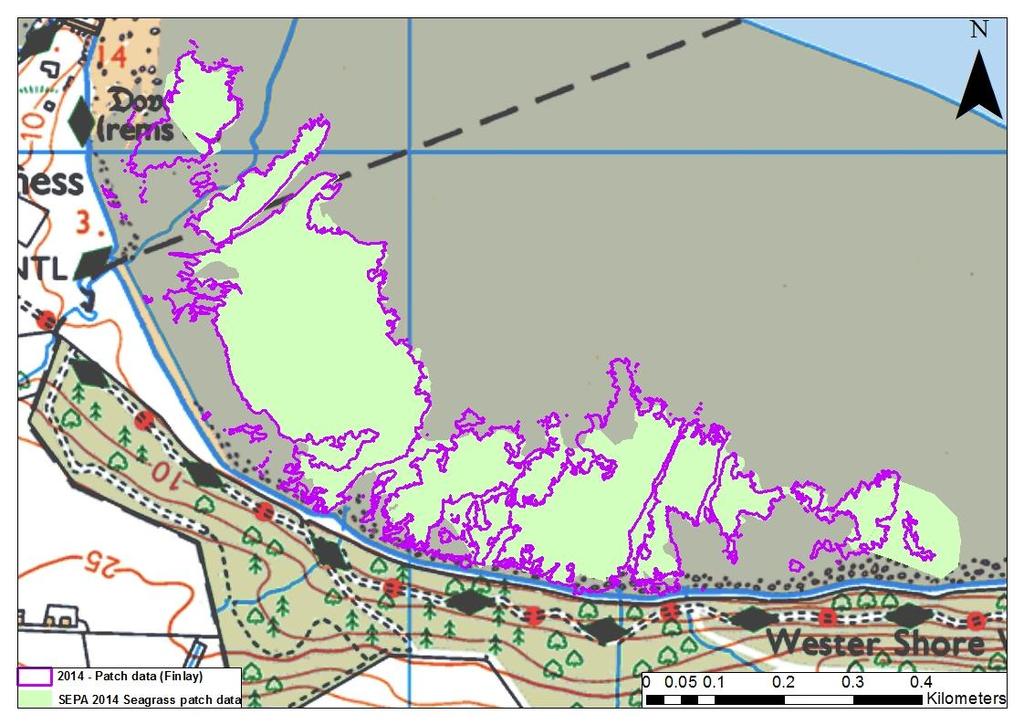Figure 35: Seagrass bed extent during 2014 at Blackness Bay as surveyed by Finlay (2014) and SEPA