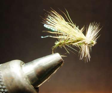 Pluck a smaller hackle from the neck or saddle, and tie it in where the wing and under wing were tied in.
