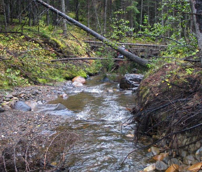 stream was sampled to help assess fish use in watershed.