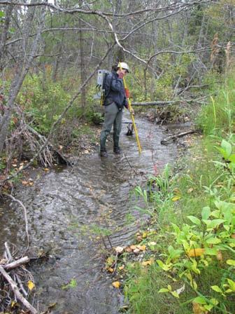 Large streams such this all score High. Club creek has a deep channel (0.42 m), and low-moderate gradient (2.9%).