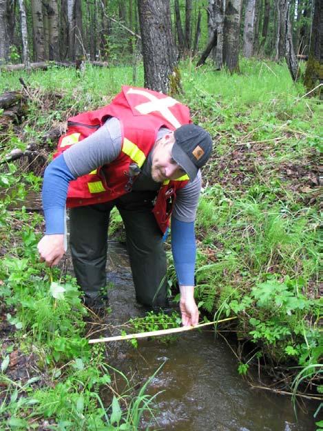Not surprisingly is a paucity of information on the habitat preferences of these species as most inventory sampling was done in summer when unpredictable weather conditions and falling stream