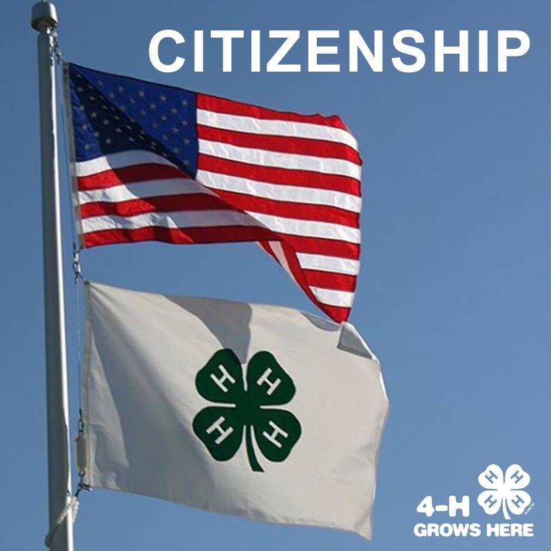 A U G U S T 2 0 1 8 N E W S L E T T E R KINNEY 4-H The Official Newsletter Of Springfield Community First 4-H Meeting! Aug. 27-6 pm Be there!