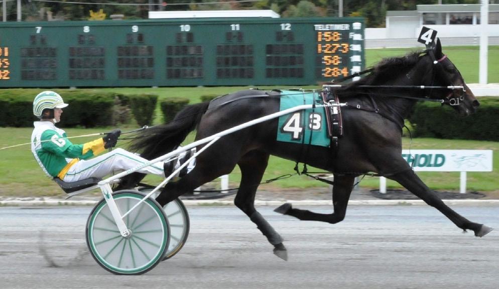 Rita Maid driven by Joe Bongiorno finished second, while Jordan Stratton and Designated Drinker took third. The two-year-old colt trot final was on Thursday (Oct 20) with a total of seven entries.
