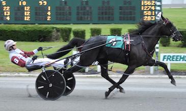 He s In The Game settled for second, while Every Way Out and Joe Bongiorno, World Wide Racing Photo sire is located as well as being eligible to the SDF races at Freehold Raceway, when the mare meets