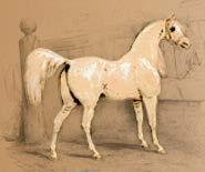 Al-Mutanabbi بيطلا وبأ (915 AC) Arab Poet By MONIKA SAVIER Arabian horses are very special in their history, their beauty, their proud noblesse, their movements, but also their sweet character and
