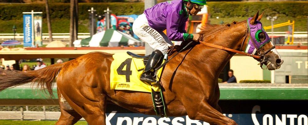 california chrome samraat Two 1st place finishes 5-2 Victor Espinoza Made national headlines when he guided War Emblem to victory in the