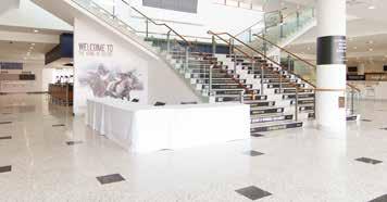 NEWMARKET RACECOURSES EXHIBITIONS EXHIBITIONS We have a wide range of facilities and services on offer in order for you to put on a successful show.