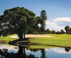 HARBOURSIDE GOLF COURSES Consisting of three 9-hole courses, allowing for 3 distinctive 18-hole options options, the Harbourside courses pose
