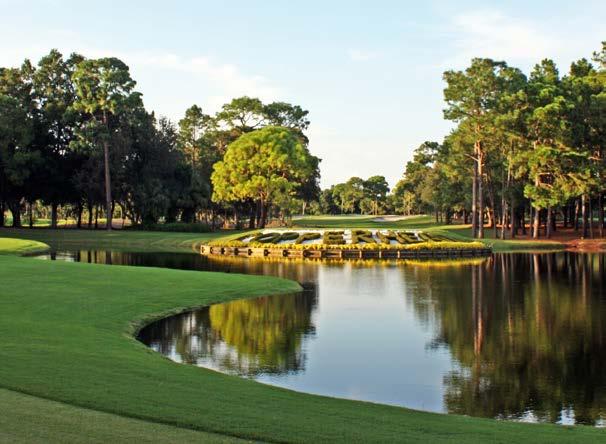 com Innisbrook has distinctive architecture that was inspired by the back-to-nature movement, when the eco-conscious architects of the 1970s designed buildings to blend with their environment.