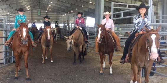 Congrats to all our Participants at the 2016 District 12 4-H Horse Show!!! The District 12 Horse Show is a fond memory now but the Atascosa club members represented!