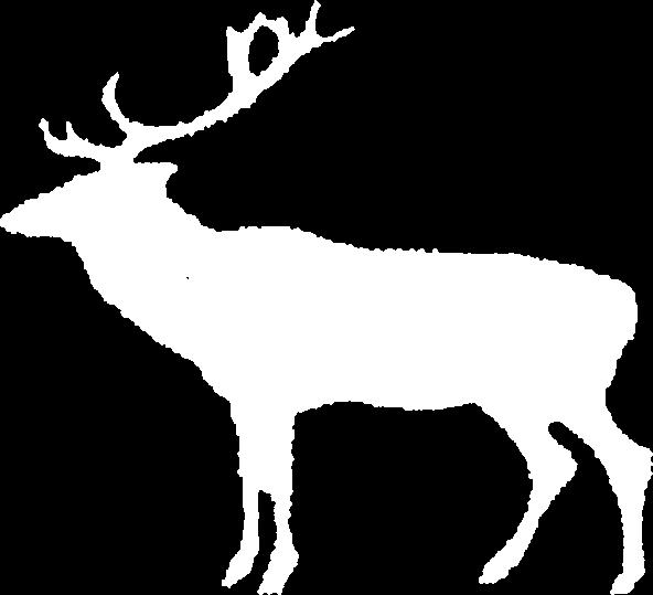 RED DEER (Cervus elaphus L.) Hunting season: Male: 16. 08. - 14. 01. Female: 01. 10. - 14. 01. Calf: 01. 10. - 31. 01. Hunting grounds: PODUNAVLJE-PODRAVLJE and BREZNICA CIC kn kn/1 CIC points point ap to 129,99 3.