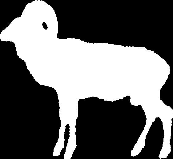 Hunting season: MOUFLON (Ovis musimon Path.) Male: 01. 01. - 31. 12. Female and lamb: 01. 08. - 31. 12. cm kn kn/1 cm ap to 49,99 2.
