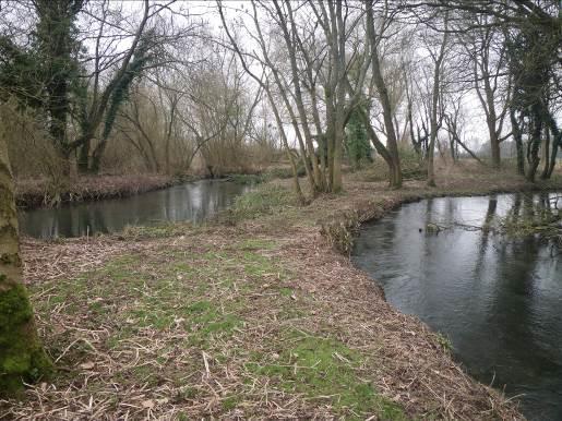 3.2 Leach Upstream of Fish Farm Upstream of the fish farm a wide range of good quality trout habitat is supported.