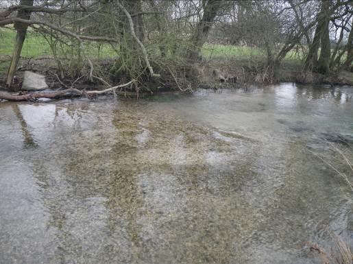 further research to find the right management options for creating optimum spawning