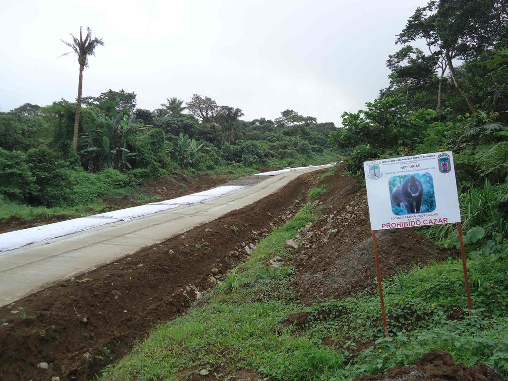 The first sign was seen in October 2013 on the road to Moka by Drs. Drew Cronin and Shaya Hornarvar. The second sign, on the road to Ureca, was first observed on November 21st, 2013, by Dr.