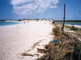 2000) Beach height (m) 5 4 3 2 1 0 2 4 6 8 10 12 14 16 18 20 22 24 26 28 30 32 Beach width (m) Sandy Ground. During Hurricane Lenny (Nov.