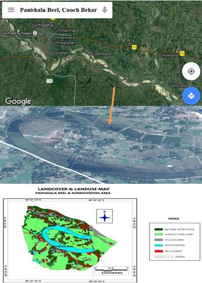 Fig 1: Satellite image and map of the study site (Panishala Beel). 2.