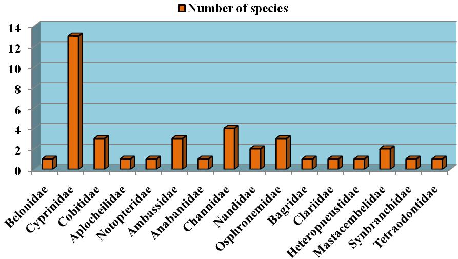 Fig 2: Family wise distribution of fish species at Panishala Beel. Fig 3:
