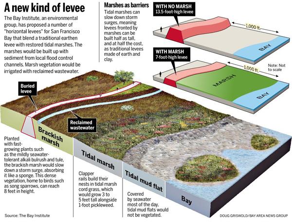 Horizontal Levees & Tidal Marshes Pros: Uses landscape to