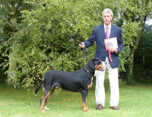 KC Name Lionheart from Swiss Star at Springhaze Owners Name Mr & Mrs S M Brailey Breeders Name Ms Ivana Lipenska 10th Aug 2014 Bournemouth Championship Show 1st JD/B + BD + BOB