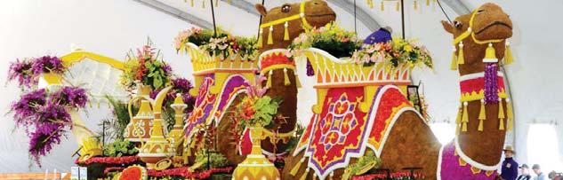 Rose Parade Float Rider/Walker Float Judging and Parade Day Meal Sponsor $4,000 Sponsor the lunches for our riders and