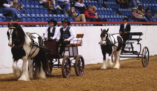 Hodges Trailers 1. Flynt Hylls Gypsy Sherman T; Exhibitor: Tracy - owned by Flynt Hylls Gypsy Horses, Ron & Tracy 2.