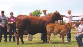 Charolette Atkinson of Wharton, Texas showed both the grand champion and reserve grand champion entries. She earned $5,000 and $2,500 for her wins respectively.